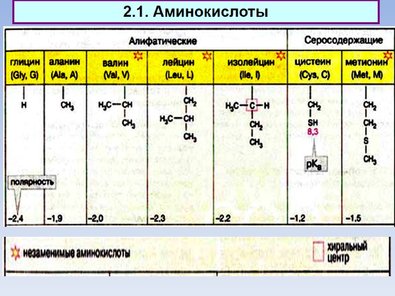 2.1. Аминокислоты